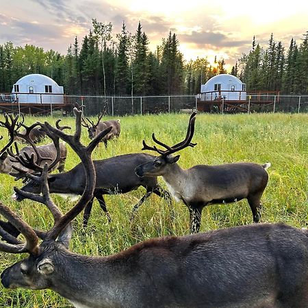 Pleasant Acres Reindeer Ranch Villa Pleasant Valley Kültér fotó