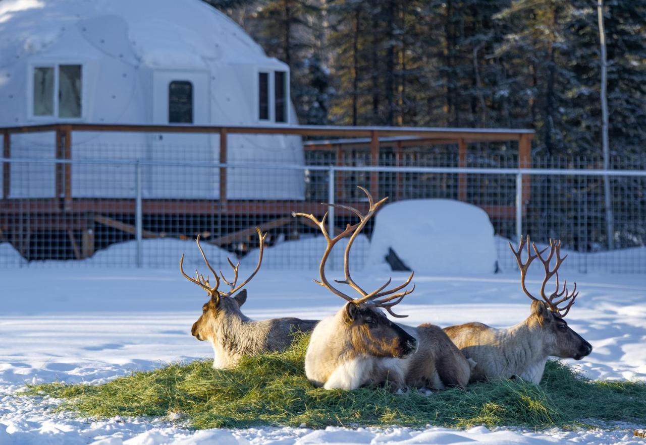 Pleasant Acres Reindeer Ranch Villa Pleasant Valley Kültér fotó